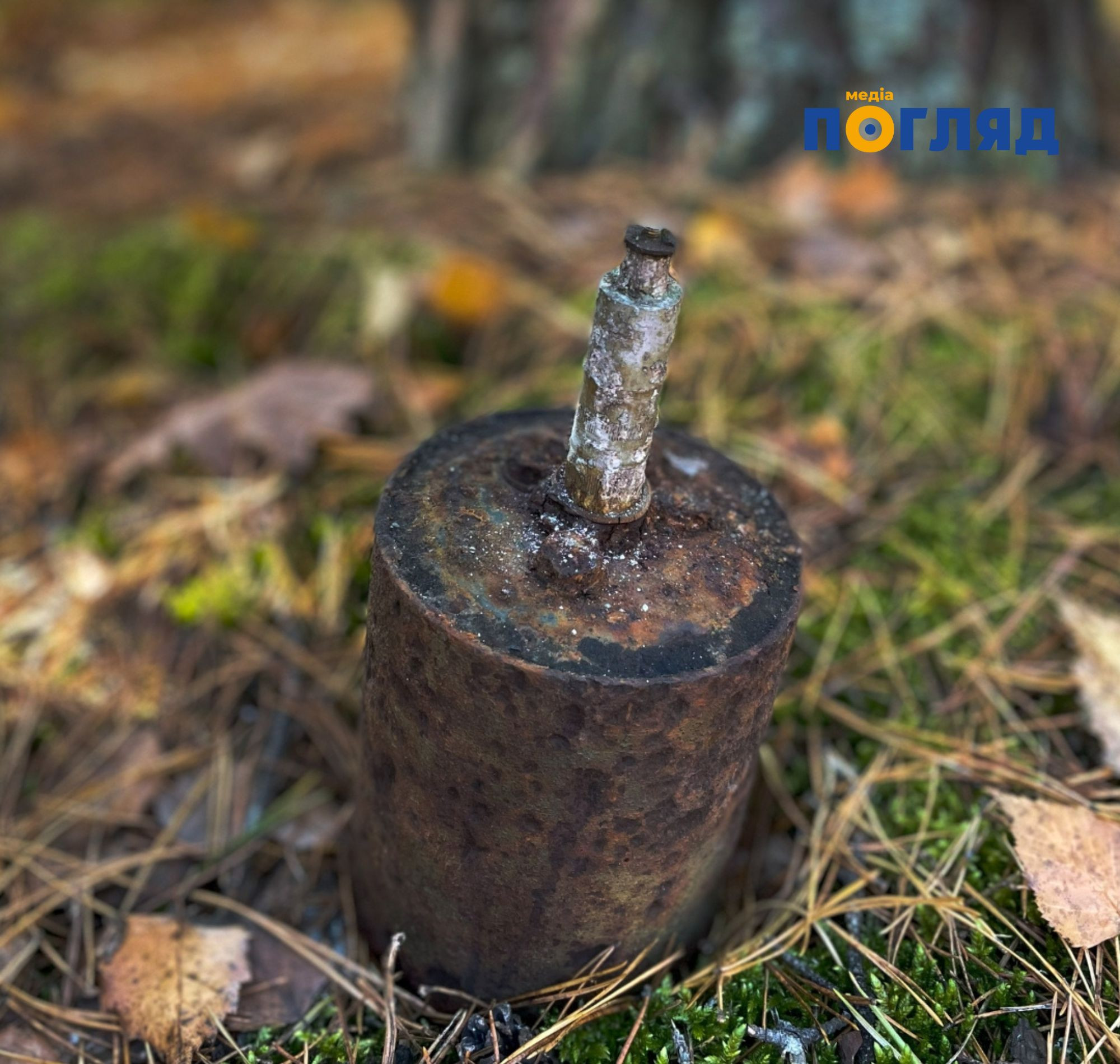 У Бучанському районі під час збирання грибів місцевий мешканець натрапив на протипіхотну осколкову міну (ФОТО) - зображення